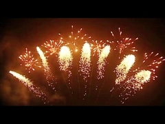 Πυροτεχνουργία πυροτεχνημάτων κινεζικής γλώσσας 65 διαμορφωμένα ανεμιστήρας πυροτεχνήματα πυροβολισμών