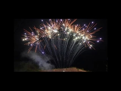 Πυροτεχνουργία κινεζικής γλώσσας 1.3g 13 επαγγελματικά ενιαία πυροτεχνήματα υπόλοιπου κόσμου πυροβολισμών