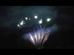 Μανδαρίνη 90 πυροβολισμοί χαιρετισμός πυροτεχνήματα επαγγελματική τούρτα πυροτεχνήματα για το πάρτι