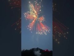 Λιουγιάνγκ Silver Ponytail Πυροσβεστικά Κέικ 2024 Κινέζικο εργοστάσιο Πυροσβεστικά & Πυροσβεστικά Πυροσβεστικά Καταναλωτικά Κέικ