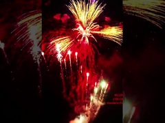 Εργοστάσιο Liuyang Μανδαρίνη προσαρμοσμένη 178 πυροβολισμούς Πυροτεχνία 1.4G Πυροσβεστική για την Πρωτοχρονιά