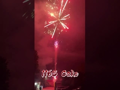 Εργοστάσιο Liuyang 116 Shots Πυροτεχνήματα Χονδρική Πυροτεχνήματα Κινέζικα Εξωτερικού Χώρου Πυροτεχνήματα Cake