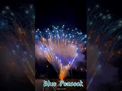 Εργοστάσιο 0,8 ίντσες 300 σφαίρες 1,3 γραμμάρια Επαγγελματική τούρτα Πυροσβεστική επίδειξη Πυροσβεστική Πυροτεχνική Χαιρετισμός