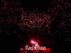 Προμήθειες Πυροτεχνημάτων Liuyang 56 Βολών Χαιρετισμός Εξωτερικού Χώρου Πυροτεχνήματα Μπαταρίες Κόκκινο Δαμάσκηνο Πυροτεχνήματα