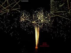 Φεστιβάλ 100 Βολών Πυροτεχνήματα Εκδηλώσεις Εξωτερικού Χώρου Επαγγελματικά Πυροτεχνήματα 1.3G Πυροτεχνήματα