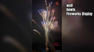 Κινεζικό εργοστάσιο Custom 100 Shot Wolf Howl Cake Fireworks Χονδρική πώληση πυροτεχνημάτων