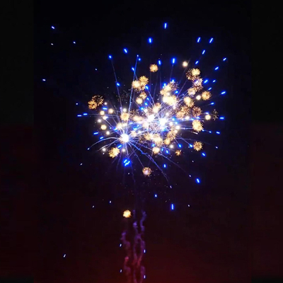 Chinese Factory 1.4g Custom Fireworks Liuyang 1.2'' Inch Cute Chrysanthemum New Consumer Cake Fireworks Wedding Pyrotechnics