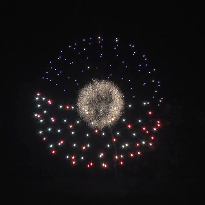 Liuyang Mandarin Fireworks 1.3g Professional Ball Pyrotechnics Fireworks Factory 6 Inch Display Shells Fireworks for Sale