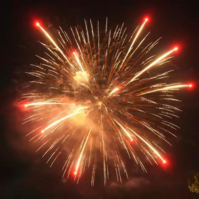 Chinese Professional Fireworks Show 8 Inch Display Shells Pyrotechnics 1.3g Professional 2 3 4 5 6 7 8 Inch Display Fireworks