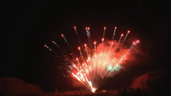 Κινεζικός προσαρμοσμένος πυροτεχνουργία πυροβολισμός πυροτεχνημάτων 1.3g 100 κέικ επίδειξης επαγγελματικός