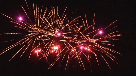 Μανδαρίνι Προσαρμοσμένο 1.4g Εξωτερικό 20 σφαίρες Γιορτή Κέικ Πυροτεχνική Προμήθειες Φανατή σχήμα Πυροσβεστική Κέικ