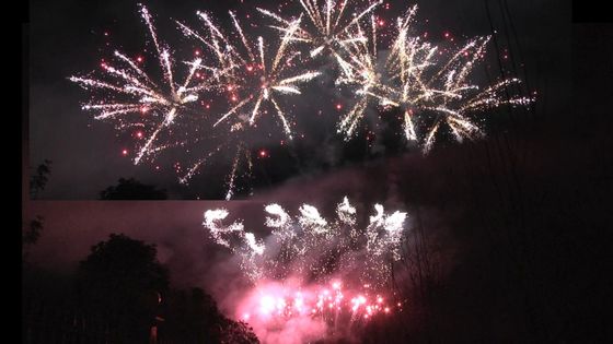 Πυροσβεστικές πυροτεχνίες Liuyang 1.3g Un0335 Πυροτεχνίες 56 πυροβολισμοί Επαγγελματική επίδειξη Πυροσβεστικές πυροτεχνίες 1.3g Για εορτασμό του φεστιβάλ