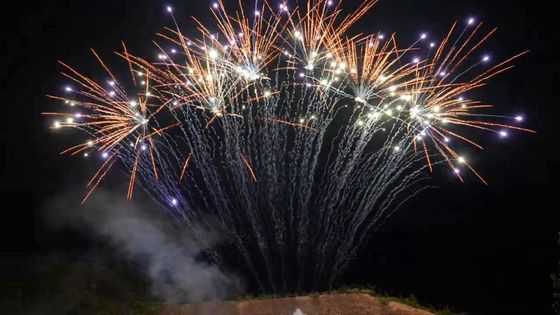 Πυροτεχνουργία κινεζικής γλώσσας 1.3g 13 επαγγελματικά ενιαία πυροτεχνήματα υπόλοιπου κόσμου πυροβολισμών