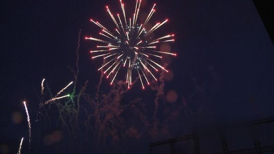 Επαγγελματικά πυροτεχνήματα για πώληση 2,5 ιντσών Πυροτεχνήματα 1.3g Un0335 Πυροτεχνικές προμήθειες MC1340