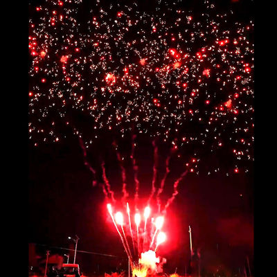 Προμήθειες Πυροτεχνημάτων Liuyang Mandarin Νέα Hot Fireworks 56 Βολές Salute Outdoor Cake Μπαταρίες Κόκκινα Δαμάσκηνα Πυροτεχνήματα