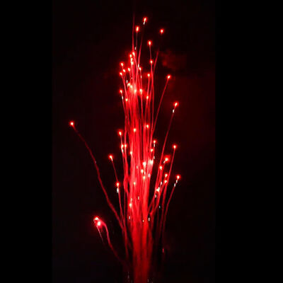 Λιουγιάνγκ Μανδαρίνη Πυροσβεστική Πυροτεχνική Χονδρική Κόκκινος Λύκος Ουρλιαχτά Νέο Πυροσβεστικό 100 πυροβολισμοί Κέικ Πυροσβεστικό μπαταρίες εξωτερικά